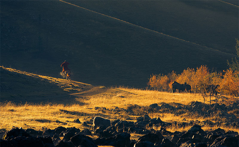 autumn  colors mongolia 